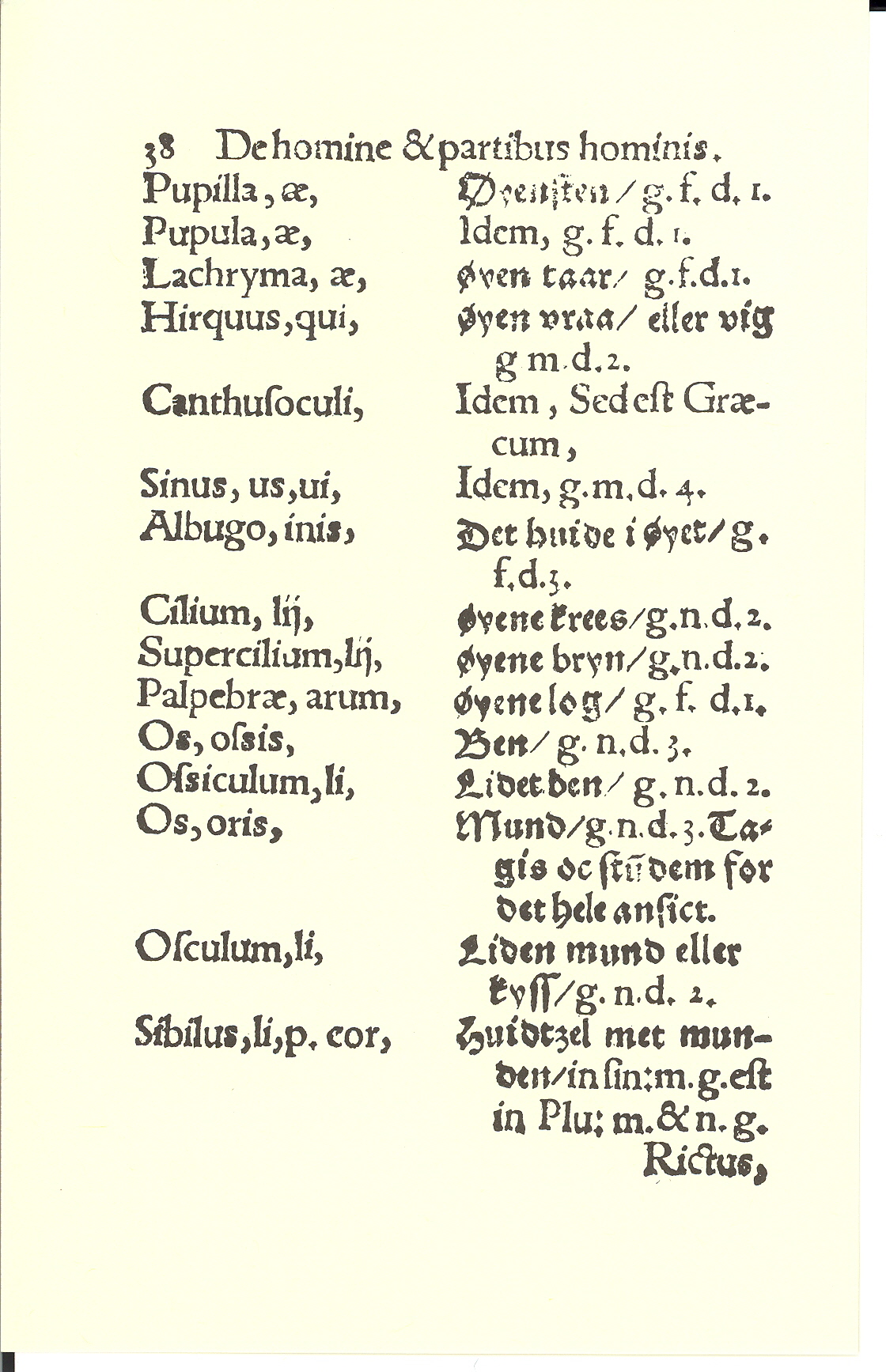 Smith 1563, Side: 38