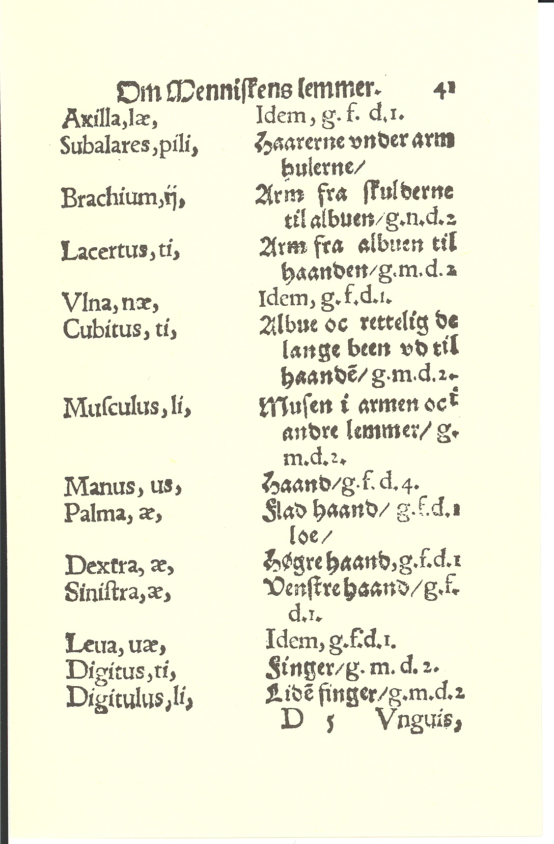 Smith 1563, Side: 41