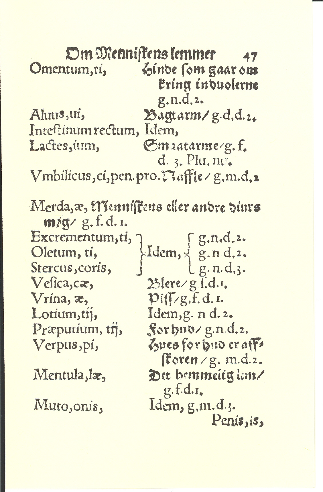Smith 1563, Side: 47