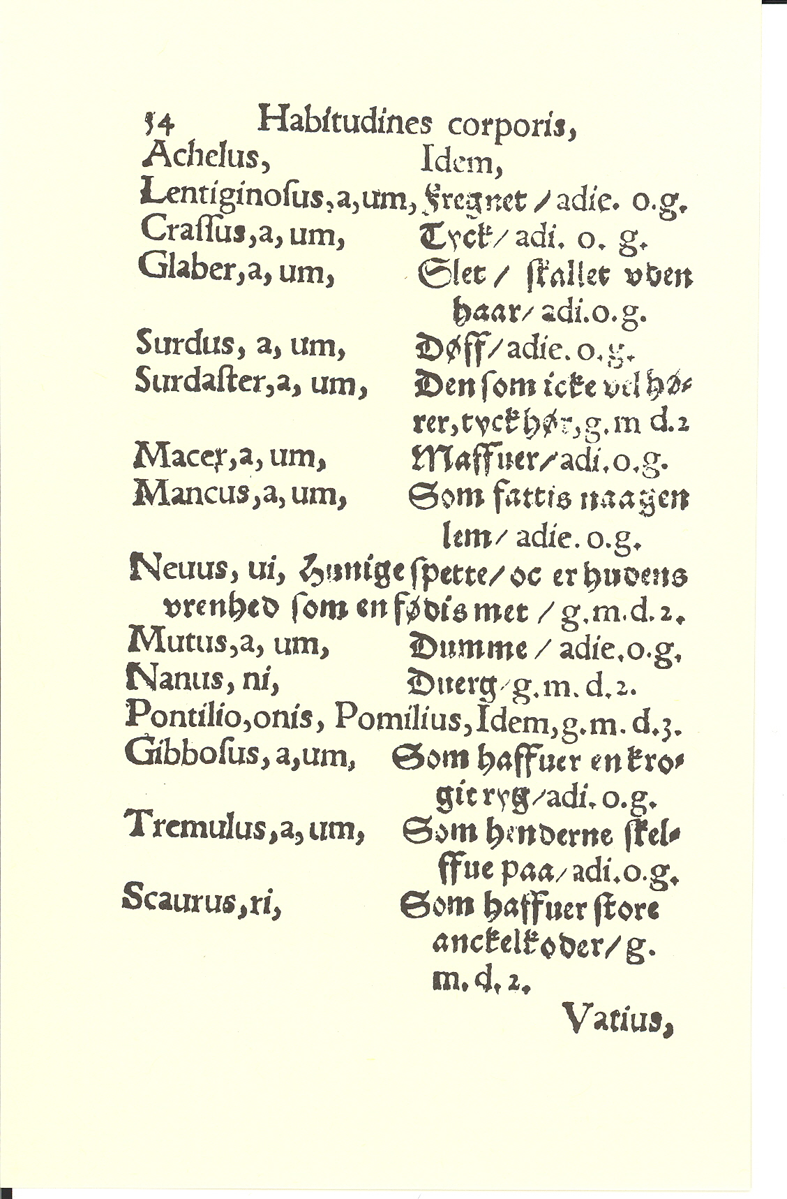 Smith 1563, Side: 54