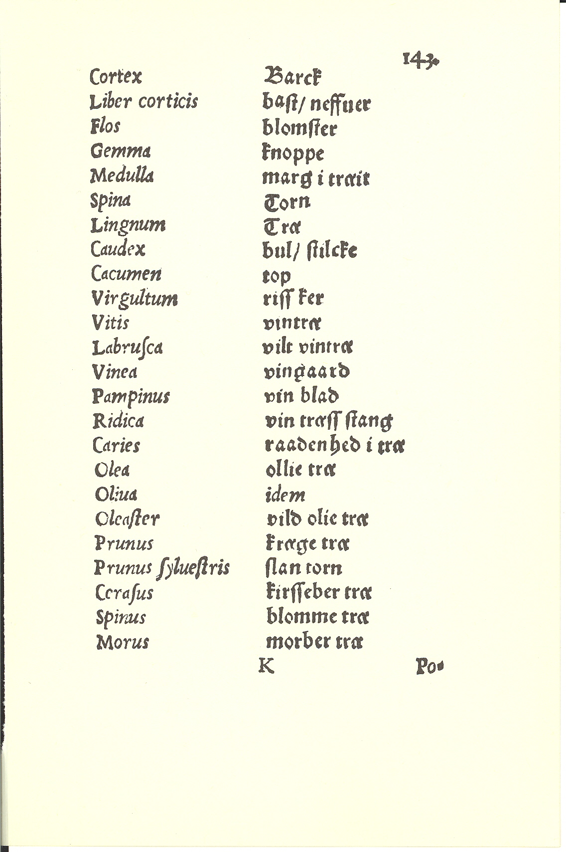 Tursen 1561, Side: 145