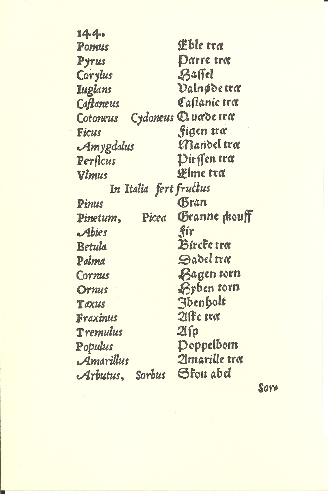 Tursen 1561, Side: 146