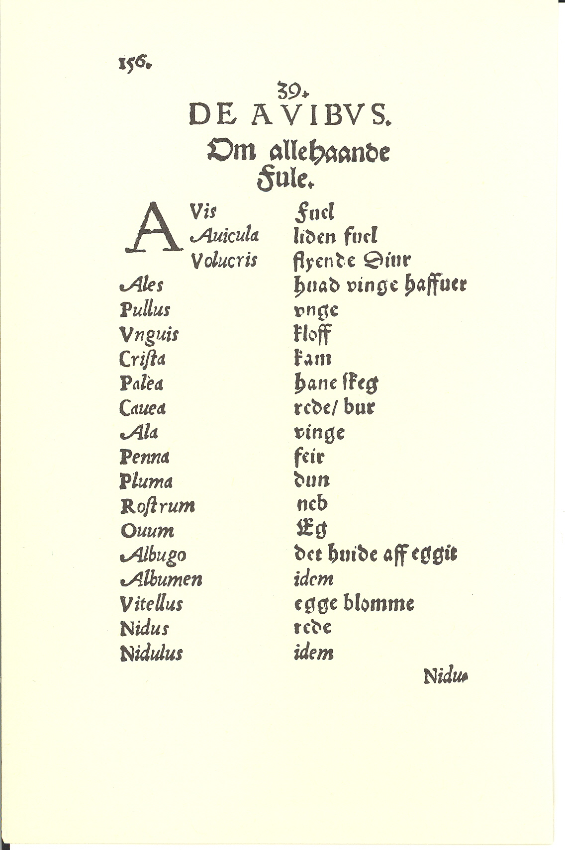 Tursen 1561, Side: 158