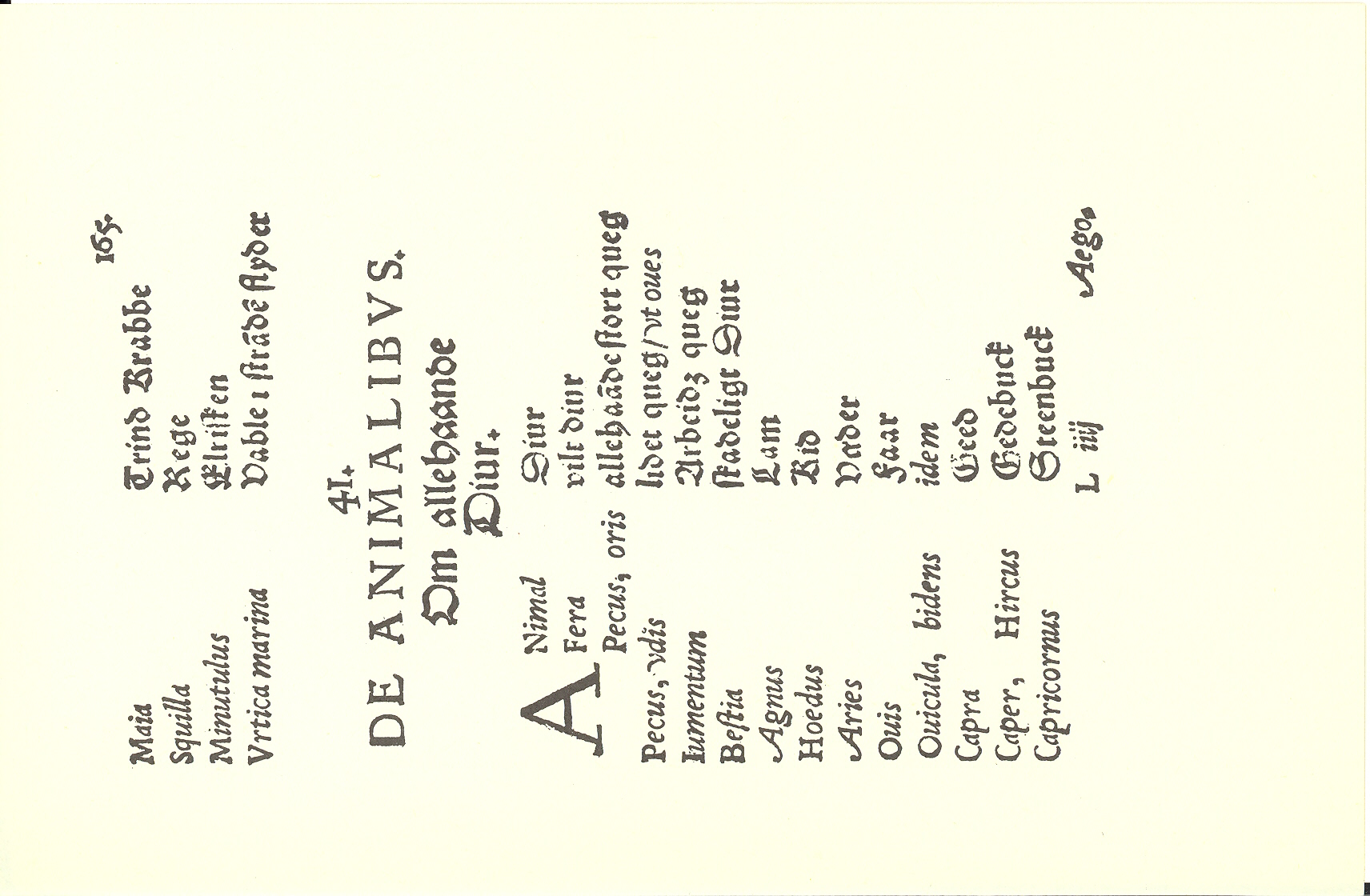 Tursen 1561, Side: 167