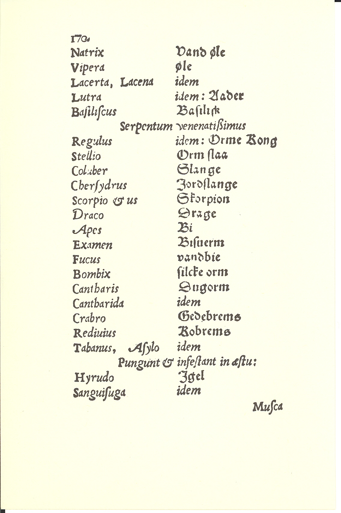 Tursen 1561, Side: 172