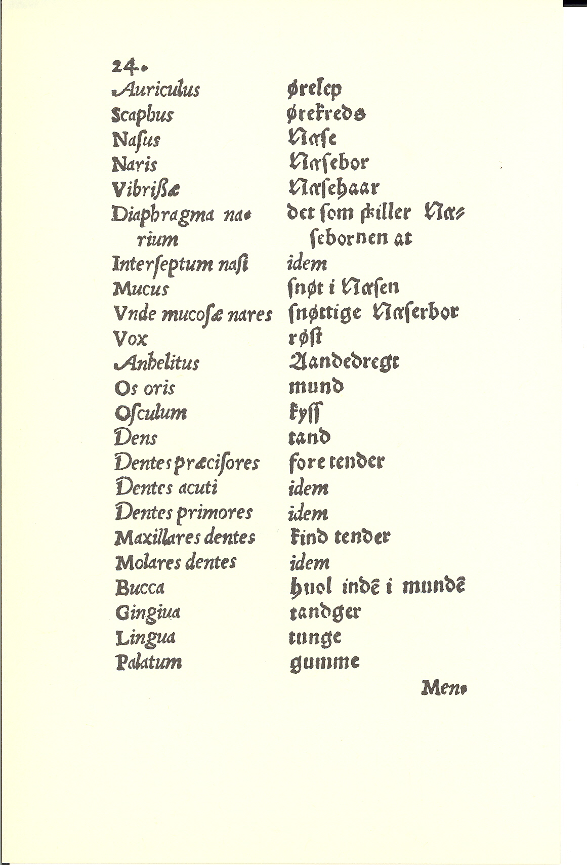 Tursen 1561, Side: 24