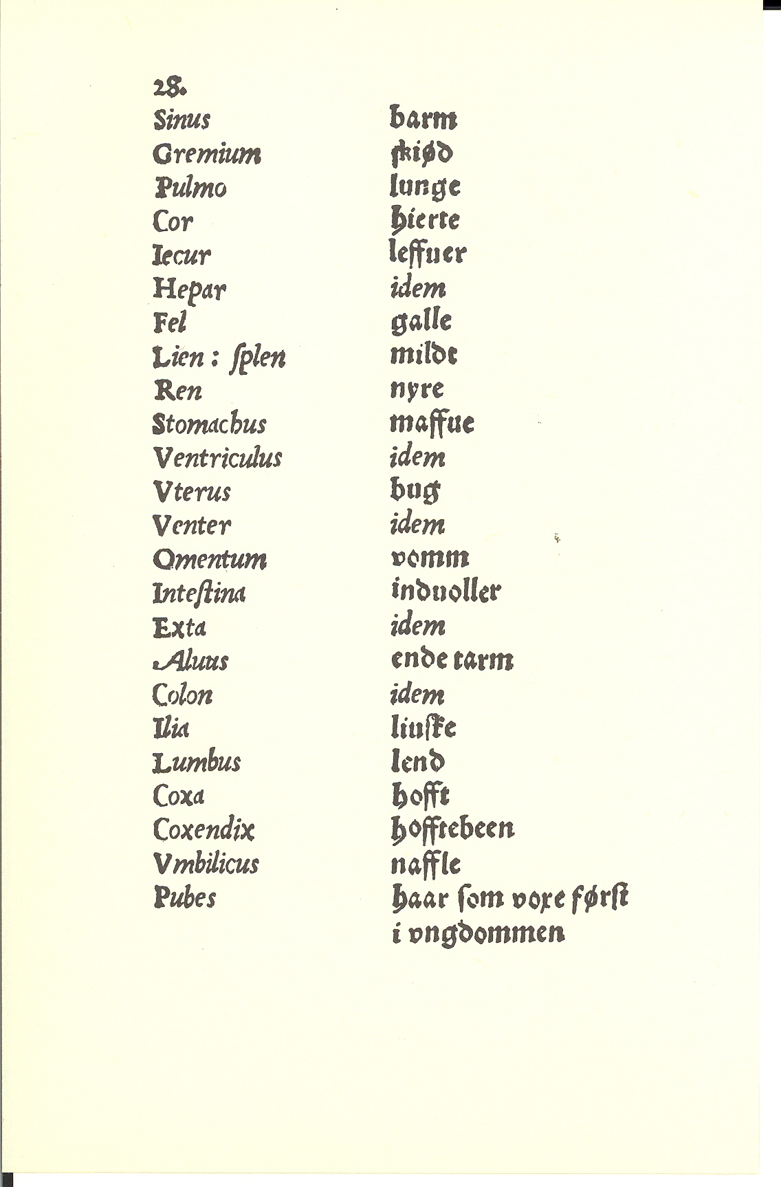 Tursen 1561, Side: 28