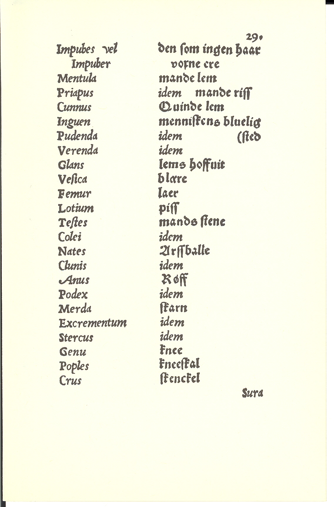 Tursen 1561, Side: 29