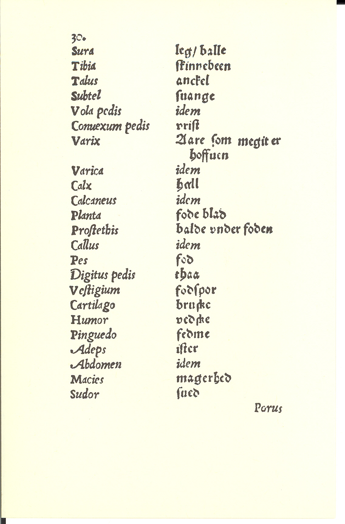 Tursen 1561, Side: 30