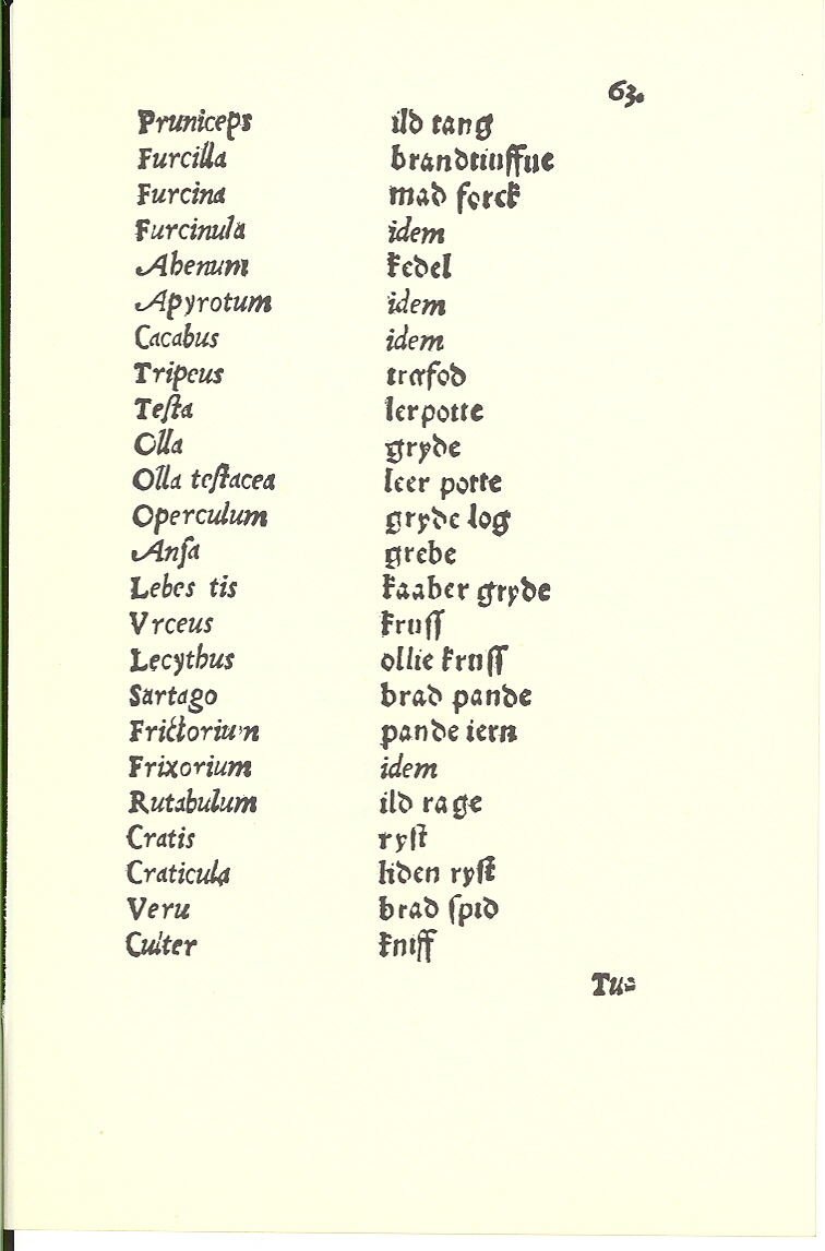 Tursen 1561, Side: 63
